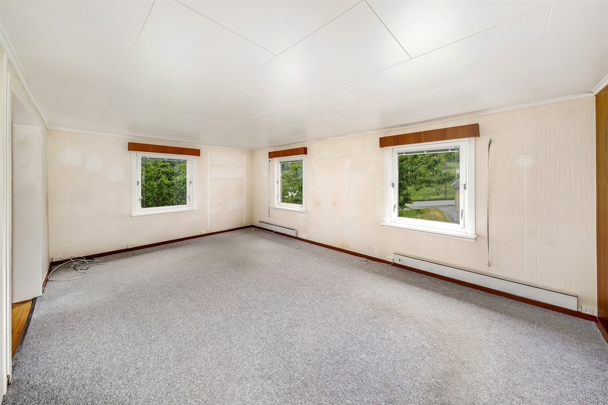 Romslig stue Galleribilde