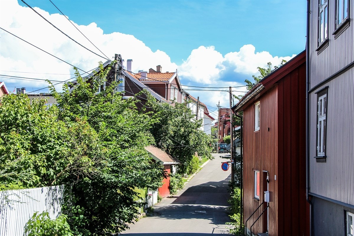 Rodeløkka er et koselig naboloag som i all hovedsak består av små trehus som slynger seg ned mot Grünerløkka. Galleribilde