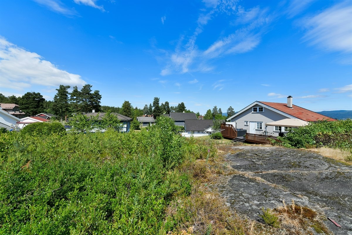 Hagen på baksiden av boligen grenser til friareal. Galleribilde