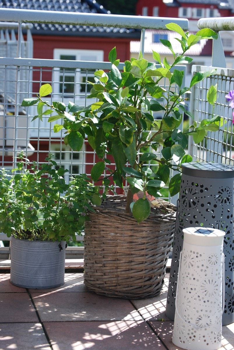 Detaljbilde terrasse Galleribilde