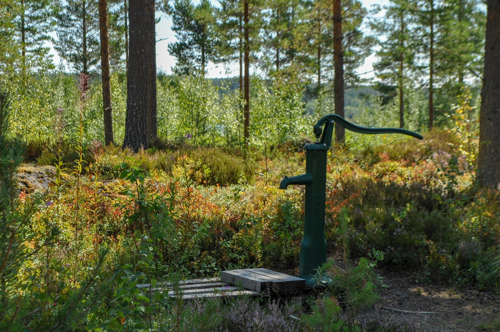 Tilgang til vann via vannposter i hyttefeltet Galleribilde