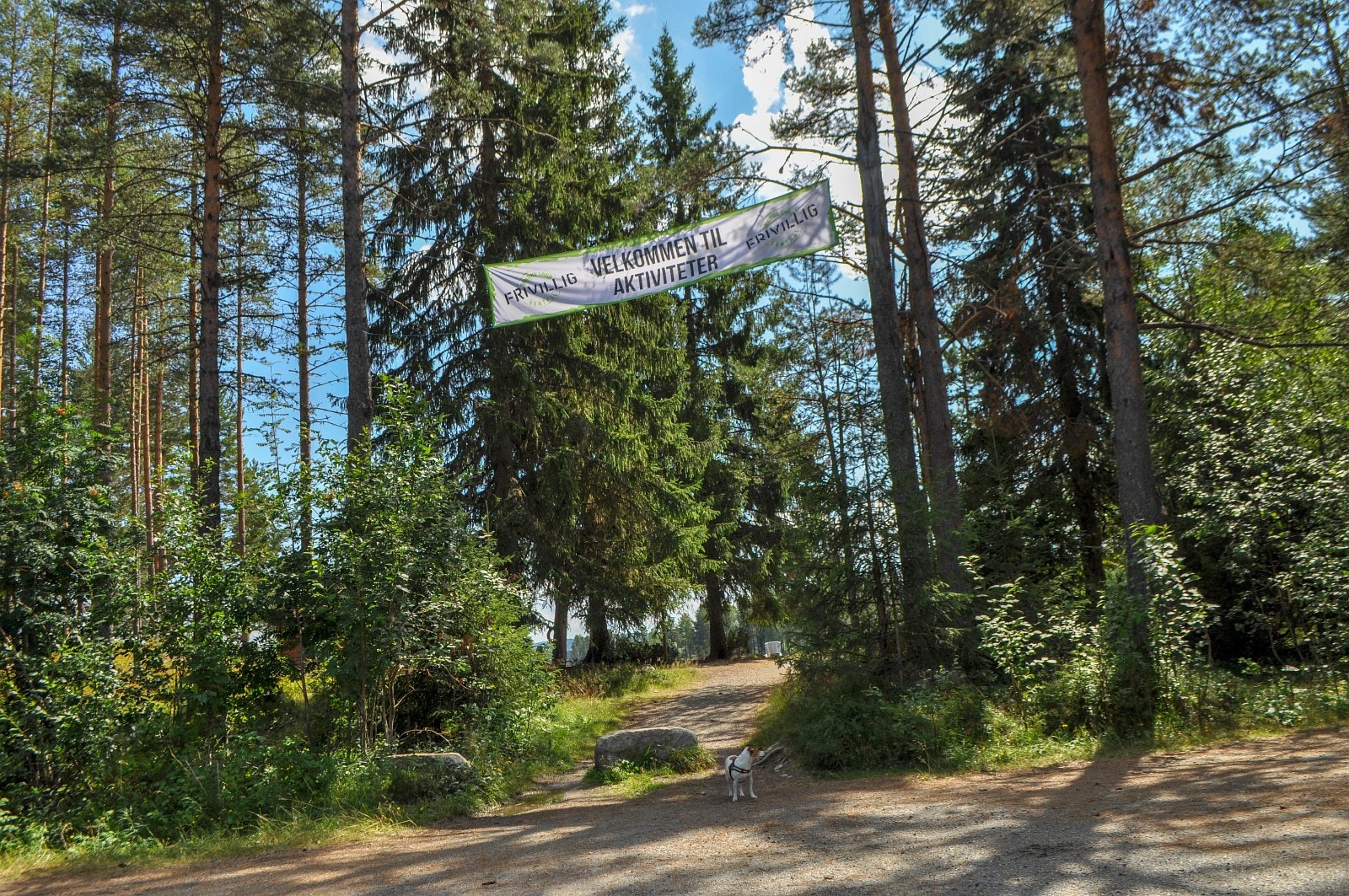 Adkomst til området fra felles parkeringsplass. Hytteeiere kan itillegg nytte bil helt frem til hytta Galleribilde