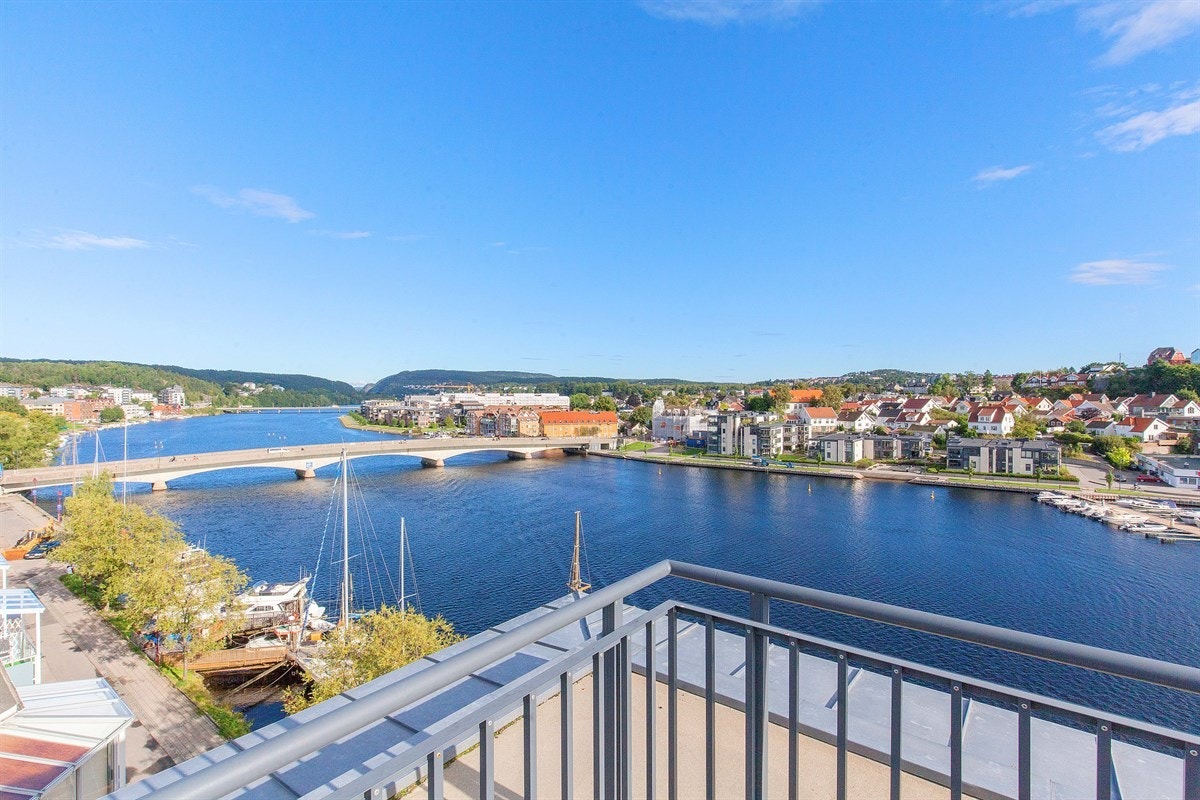 Felleasområde Galleribilde