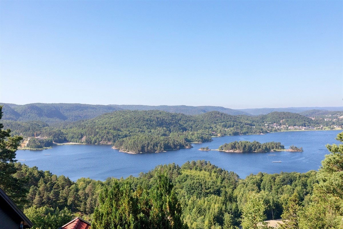 562A0701 Galleribilde