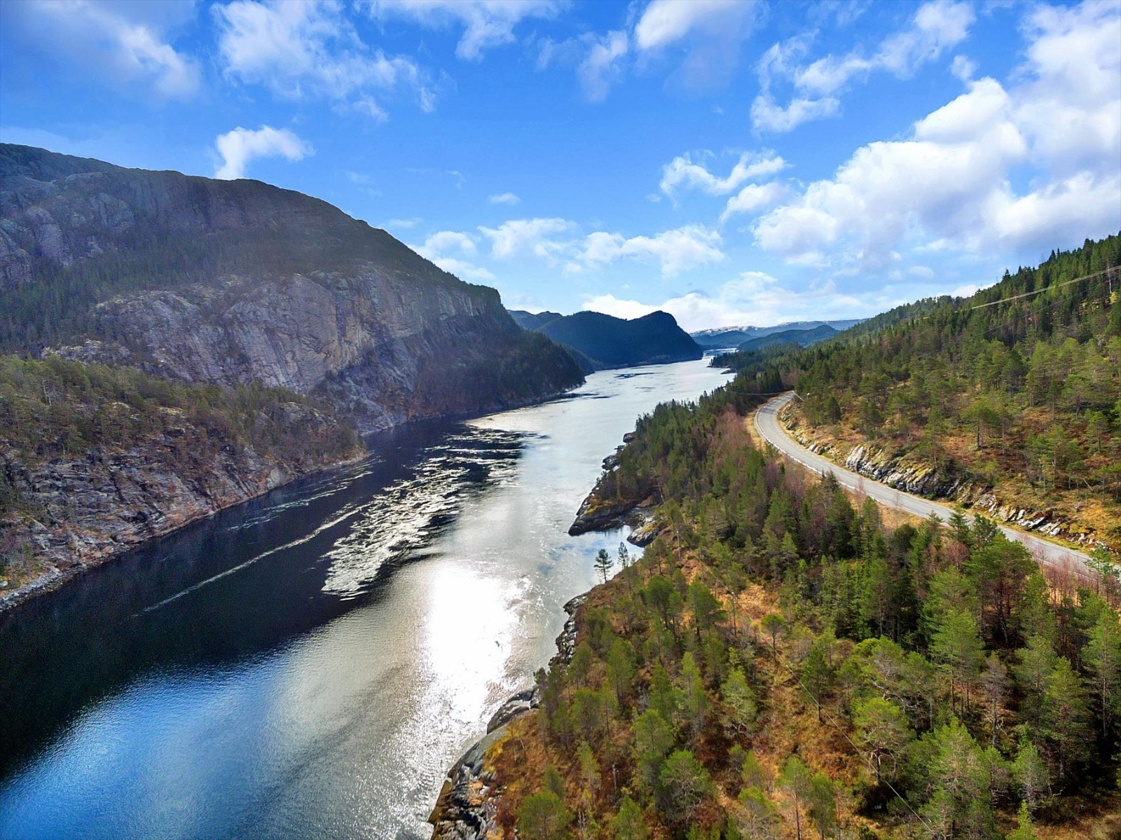 Nærområdet. Galleribilde