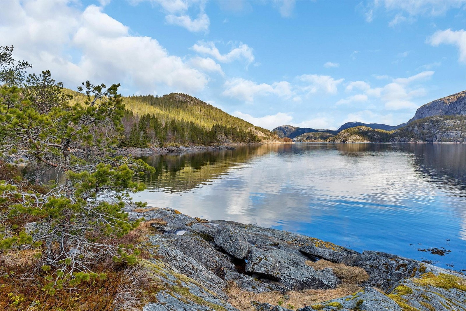 Nærområdet. Galleribilde