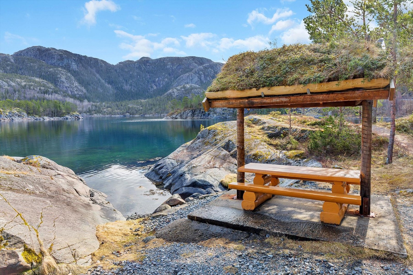 Nærområdet. Galleribilde