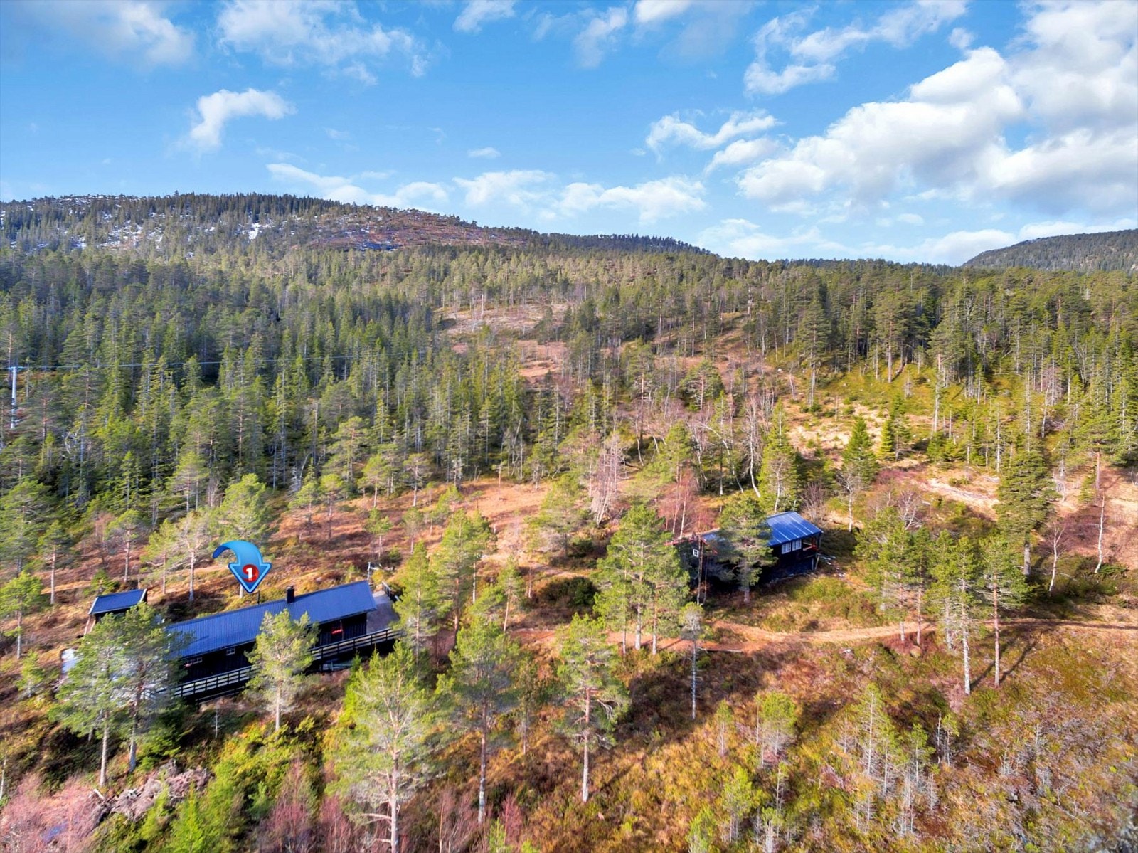 Fra hyttefeltet. Galleribilde