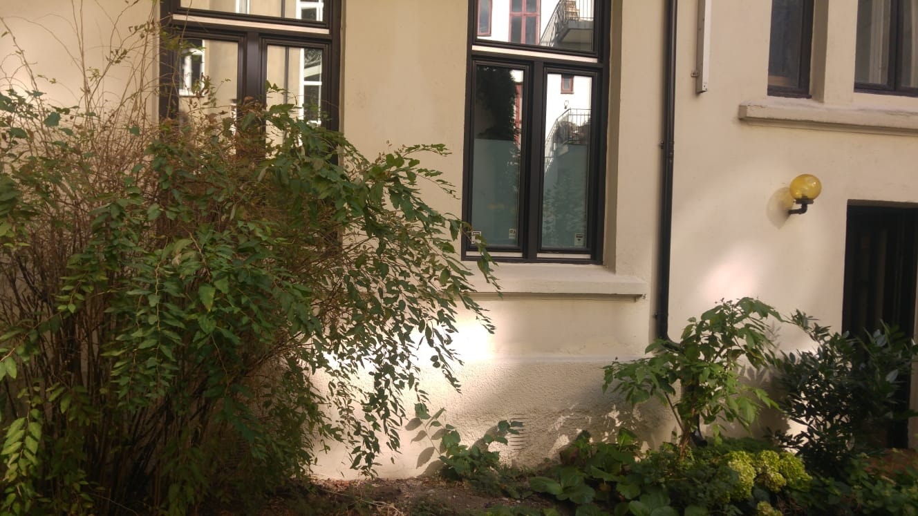 Vinduene til hybelen, sett fra bakgården. Galleribilde