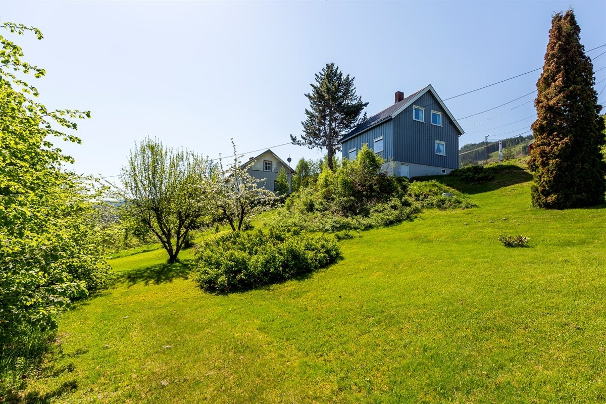 Boligen har en stor og frodig hage med mye ulik beplantning. Galleribilde