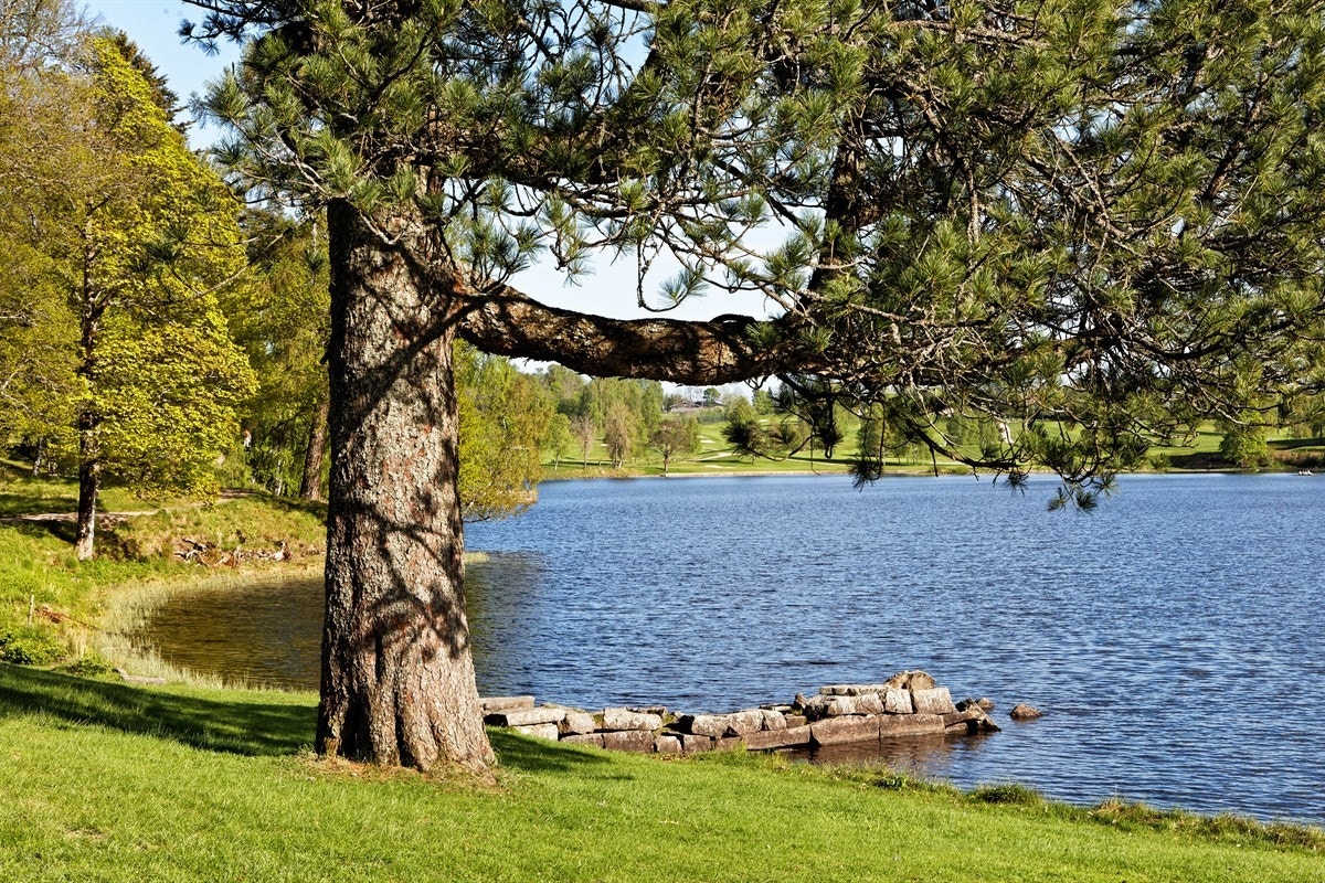 Bogstadvannet Galleribilde