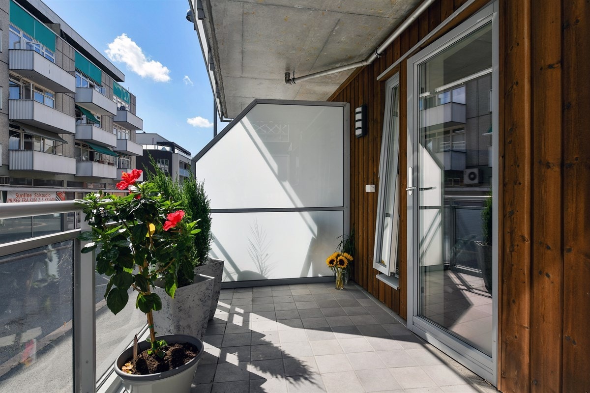 Terrassen med utgang fra stuen. Galleribilde