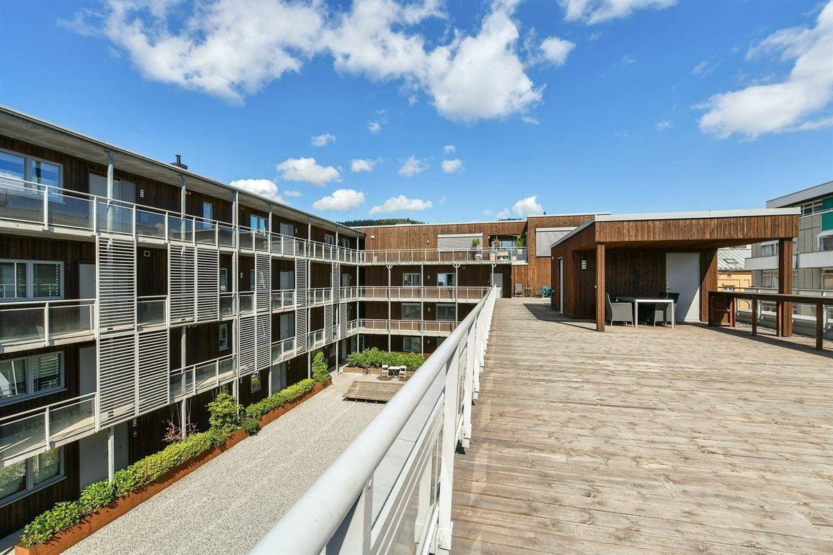 Takterrassen. Galleribilde