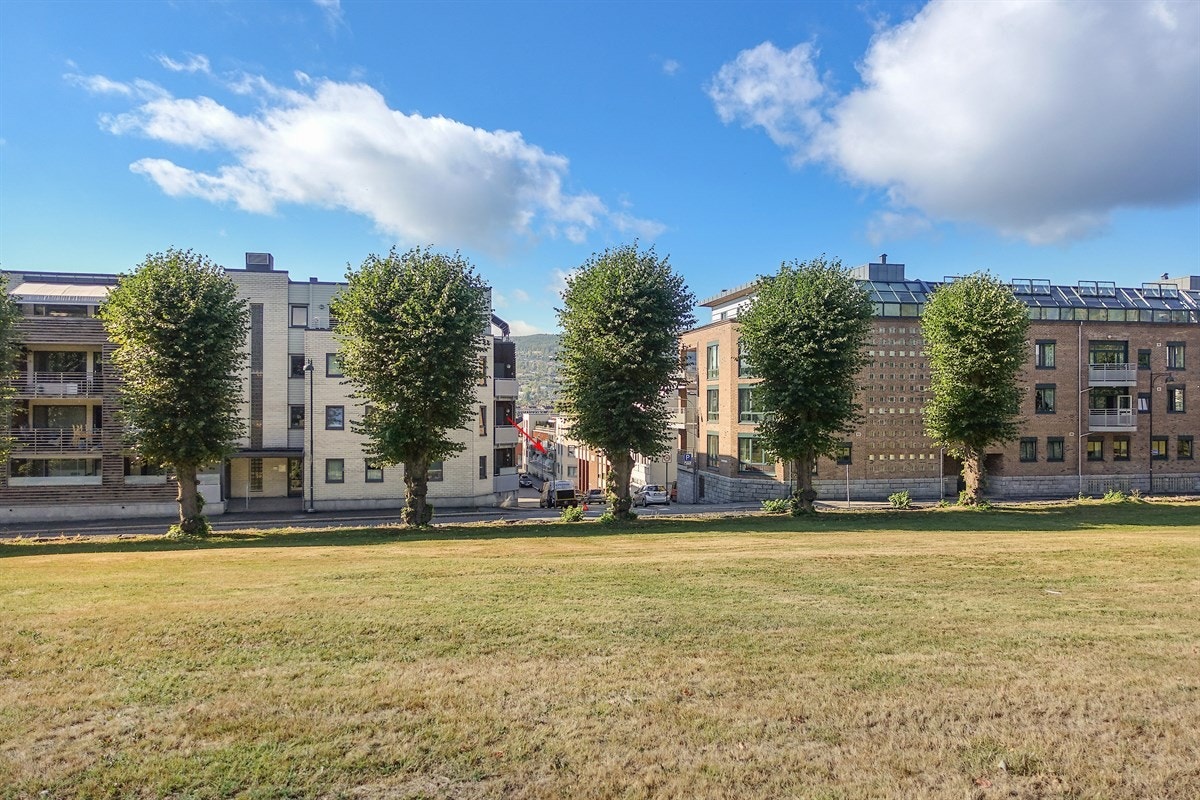 Dagligvarehandelen kan gjøres ved blant annet Bunnpris Losjeplassen, Kiwi Magasinet, samt Meny og Spar på nye CC. Galleribilde