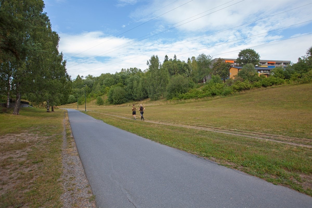Mærradalen er et flott turområde både sommer og vinter Galleribilde