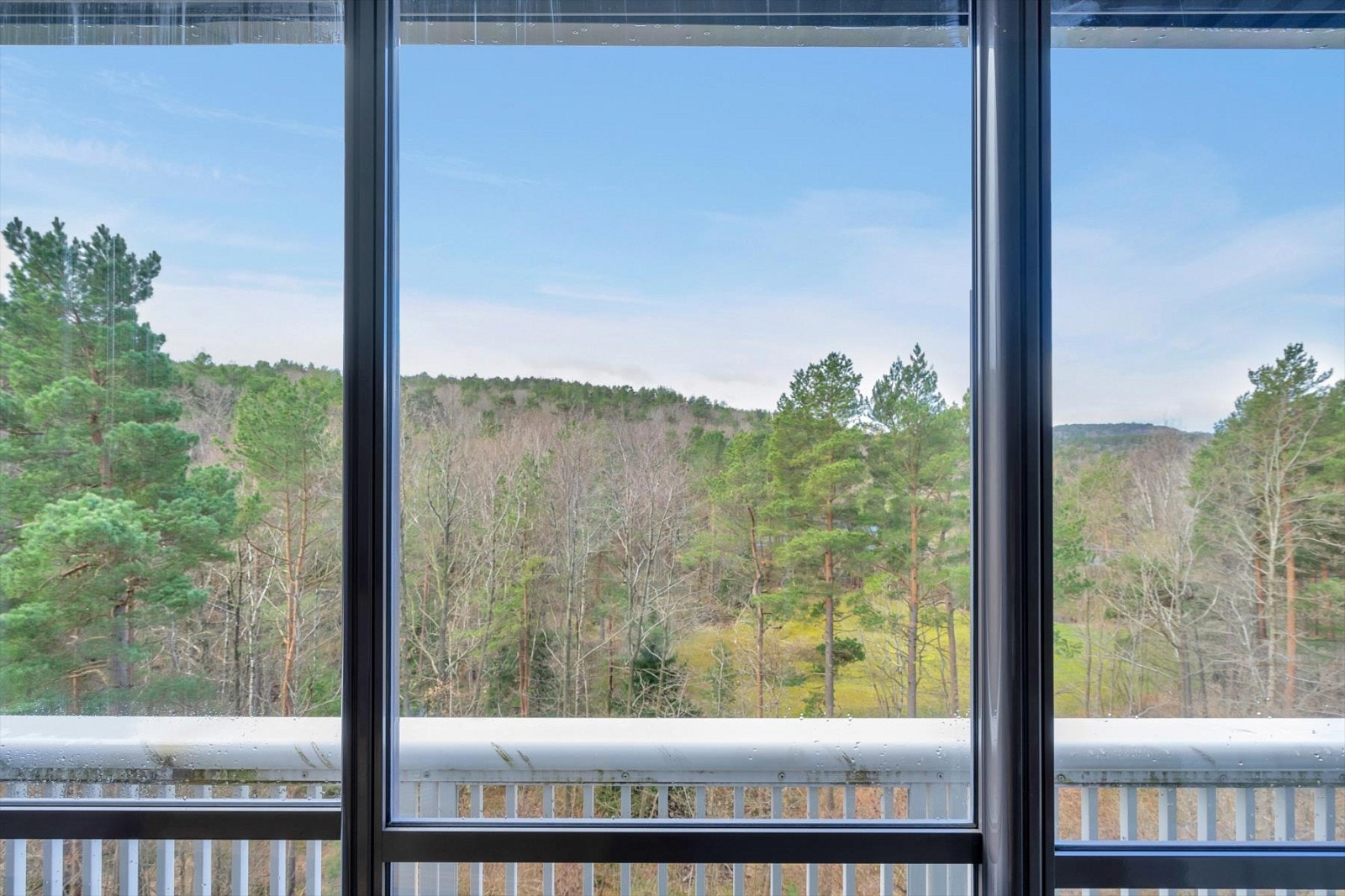 Store vindusflater med utsikt over nærområdet. Galleribilde