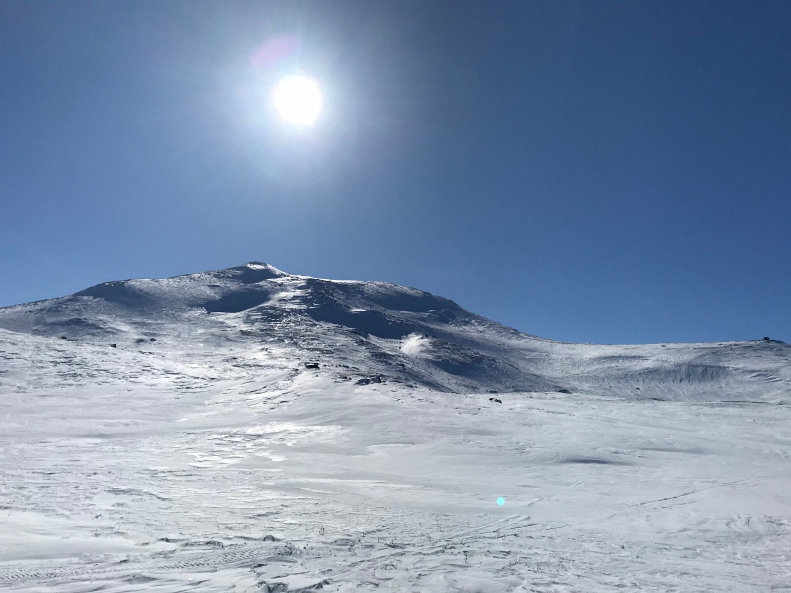 Rødalshøa sett fra Måssåbu Galleribilde