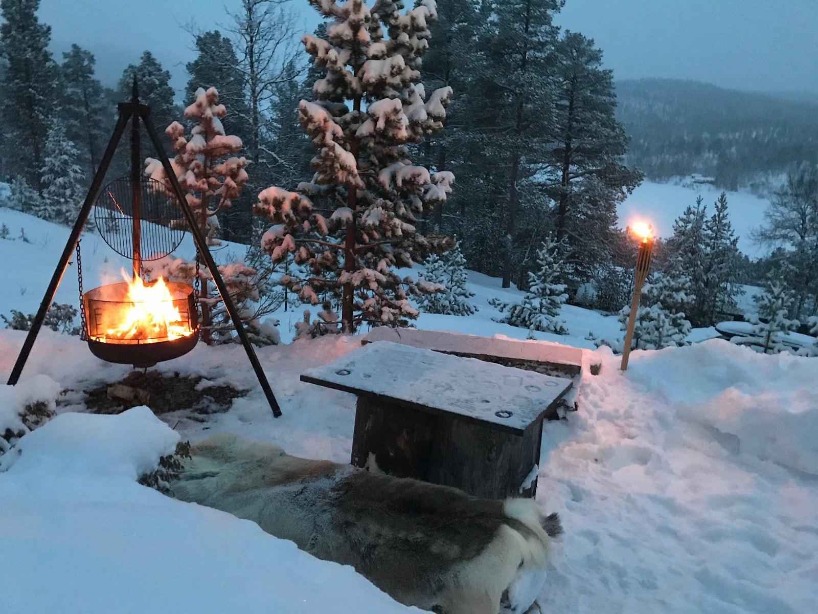 Bålpanne Galleribilde