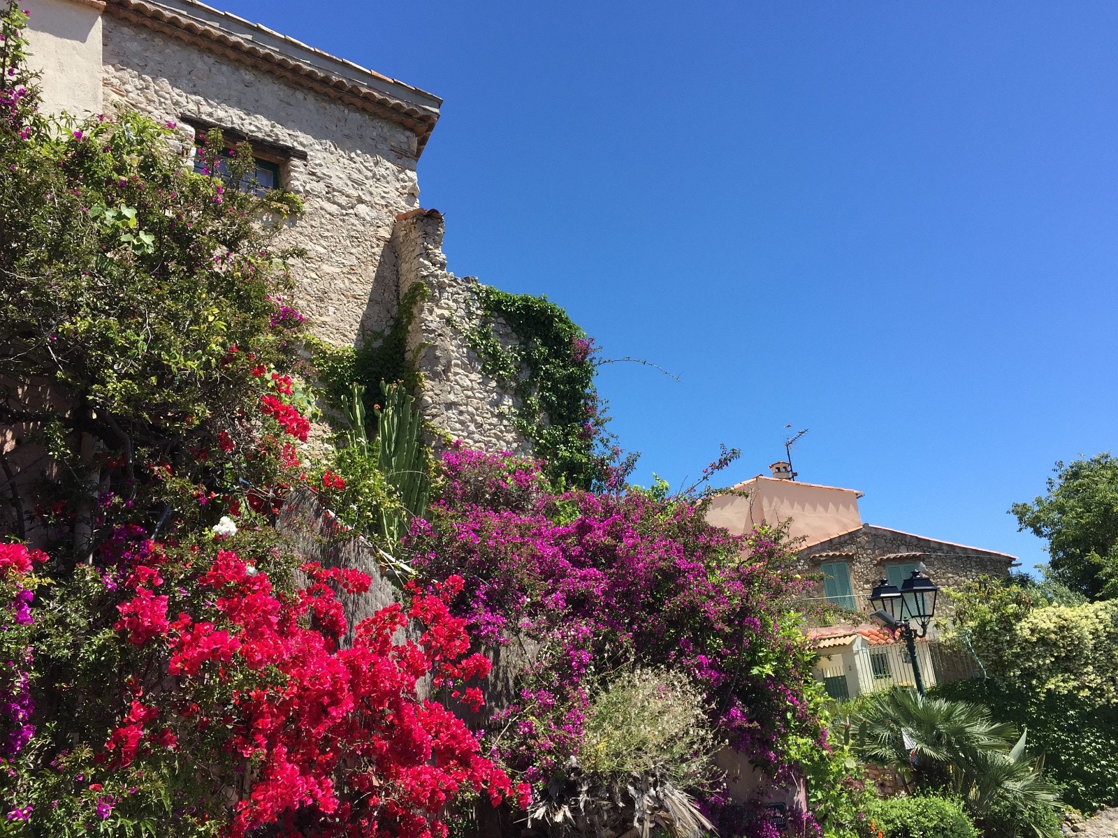 Blomsterprakt på noen av de gamle bygningen i Antibes Galleribilde