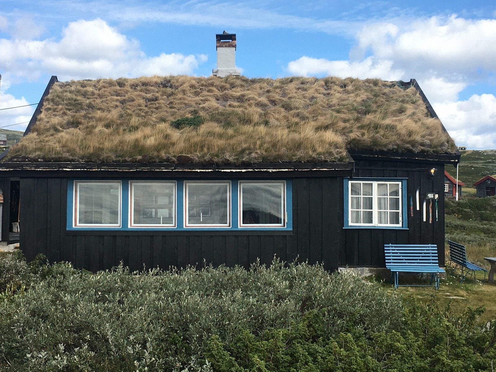 Larsbu om sommeren Galleribilde