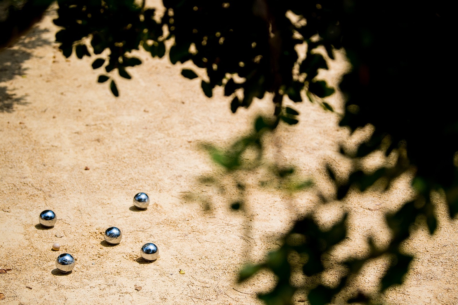Bocca er gøy for hele familien Galleribilde