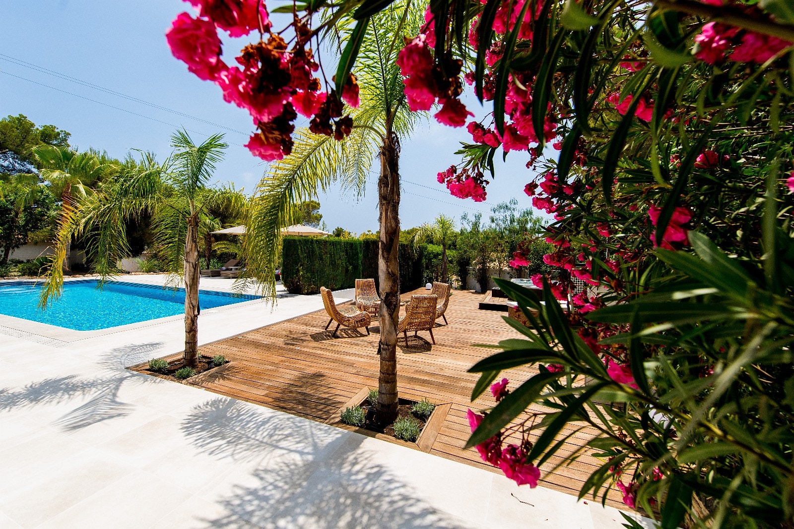 Hagen er pent beplantet med alt fra banantrær til palmer og vakre blomster Galleribilde