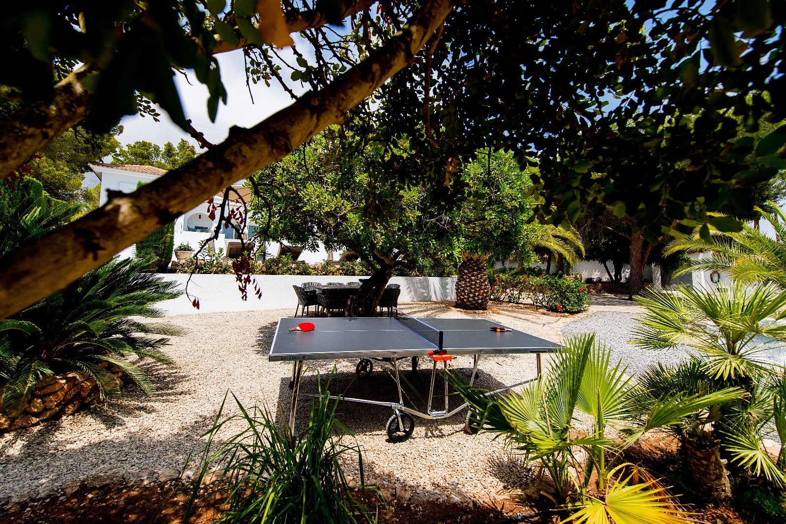 Bordtennisbordet er satt opp nede i sportområdet rett ved sportsbaren. Her kan ungdommen kose seg alene eller hele familien ha aktivitetsdager. Galleribilde