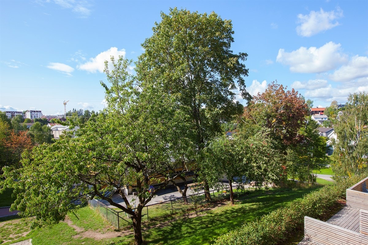 Grønt og frodig utsyn mot rolige omgivelser Galleribilde