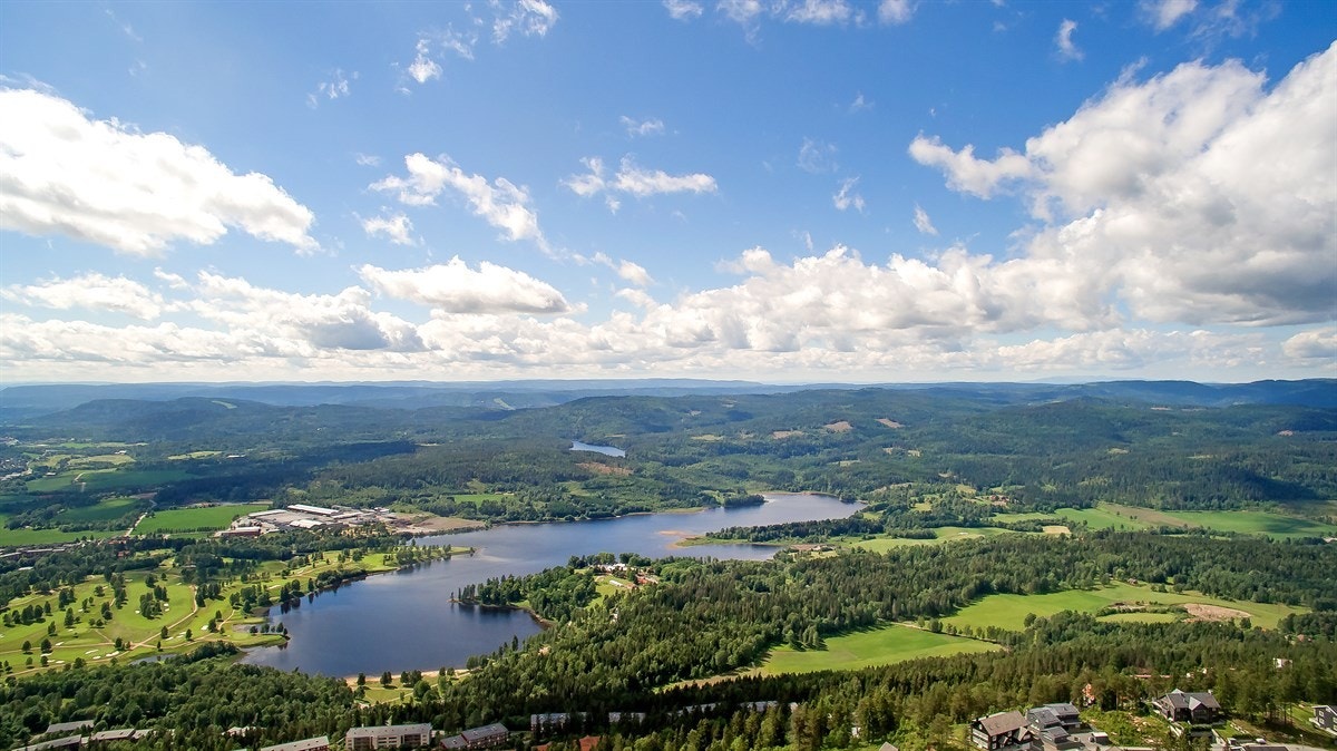 Nærområdet Galleribilde