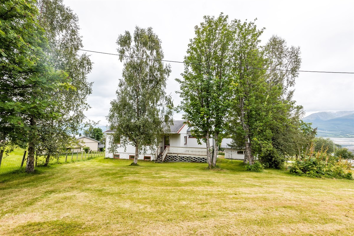 Området