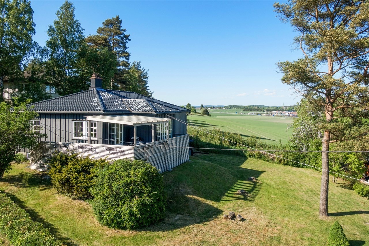 Stor hage Galleribilde