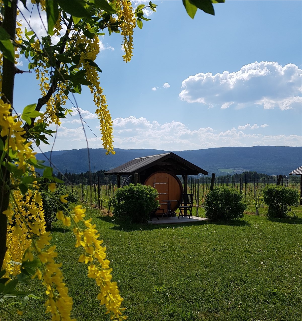 Vintønne m/ dobbel sengeplass Galleribilde