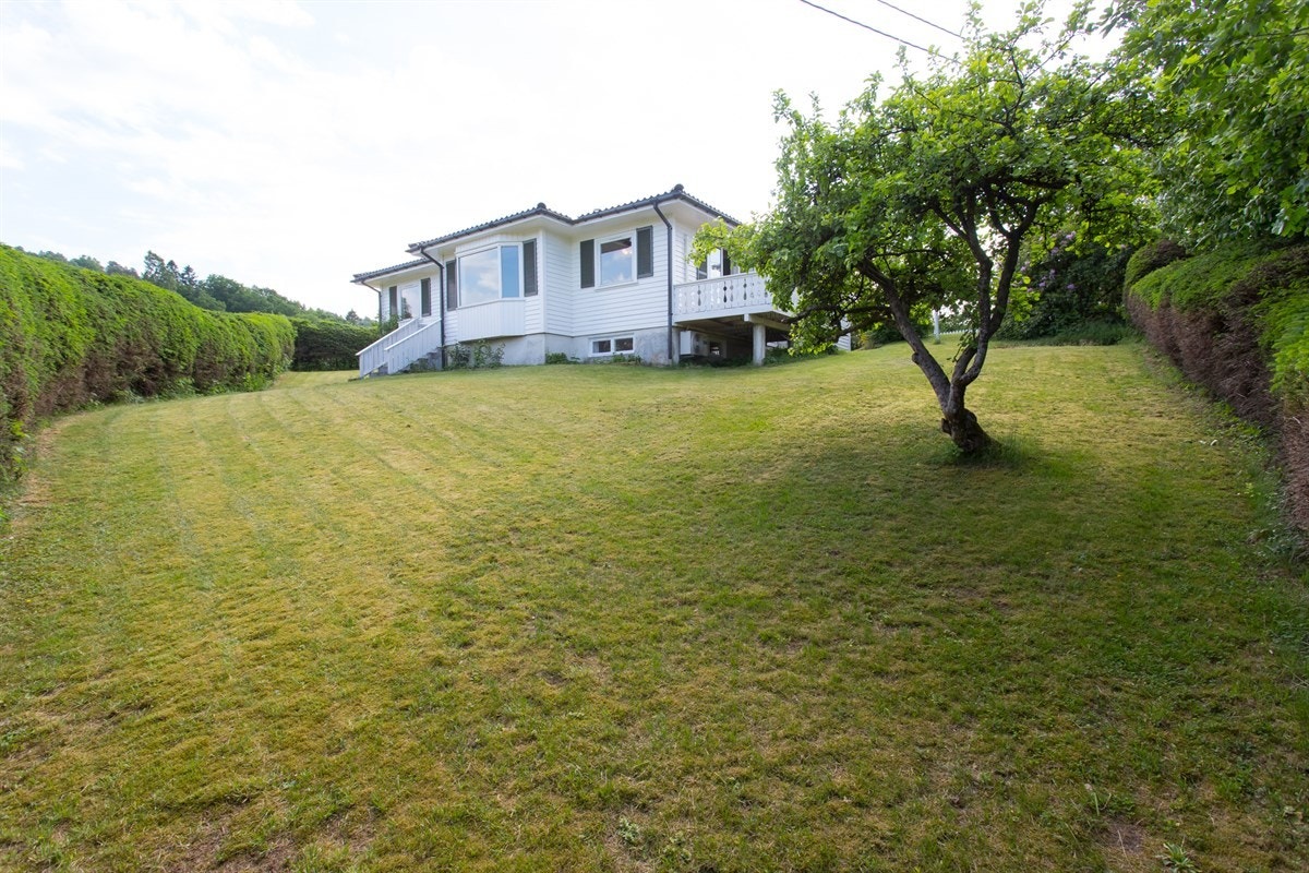 Velkommen til Kirkeveien 117 Galleribilde