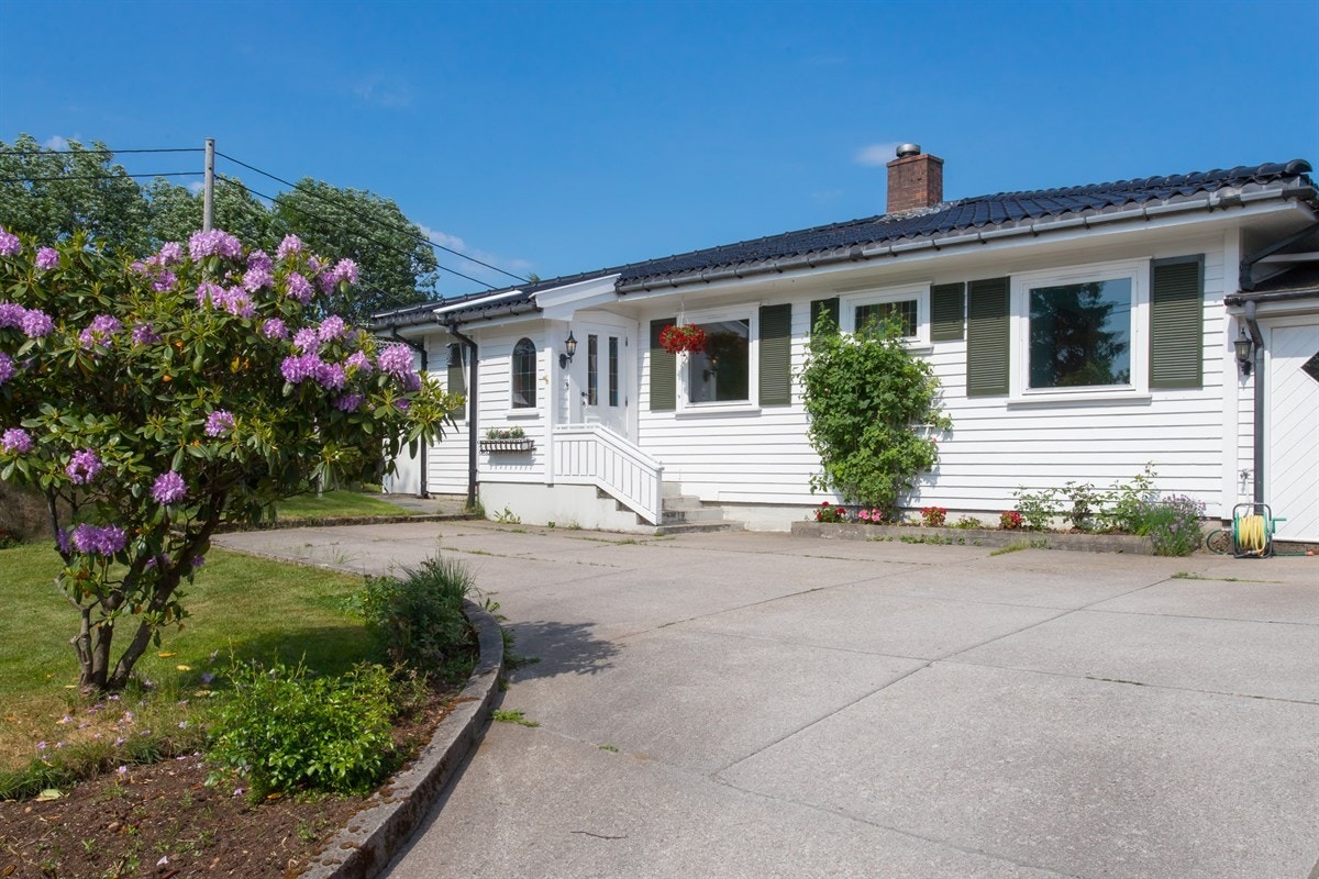 Velkommen til Kirkeveien 117 Galleribilde