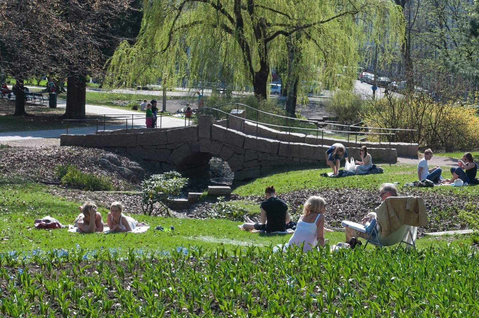Nærområdet, St.Hanshaugen Galleribilde