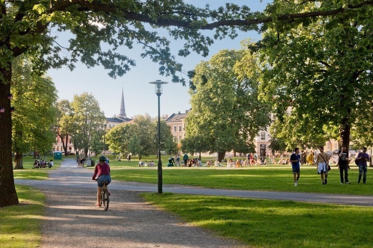 Sofienbergparken ligger like i nærheten. Galleribilde