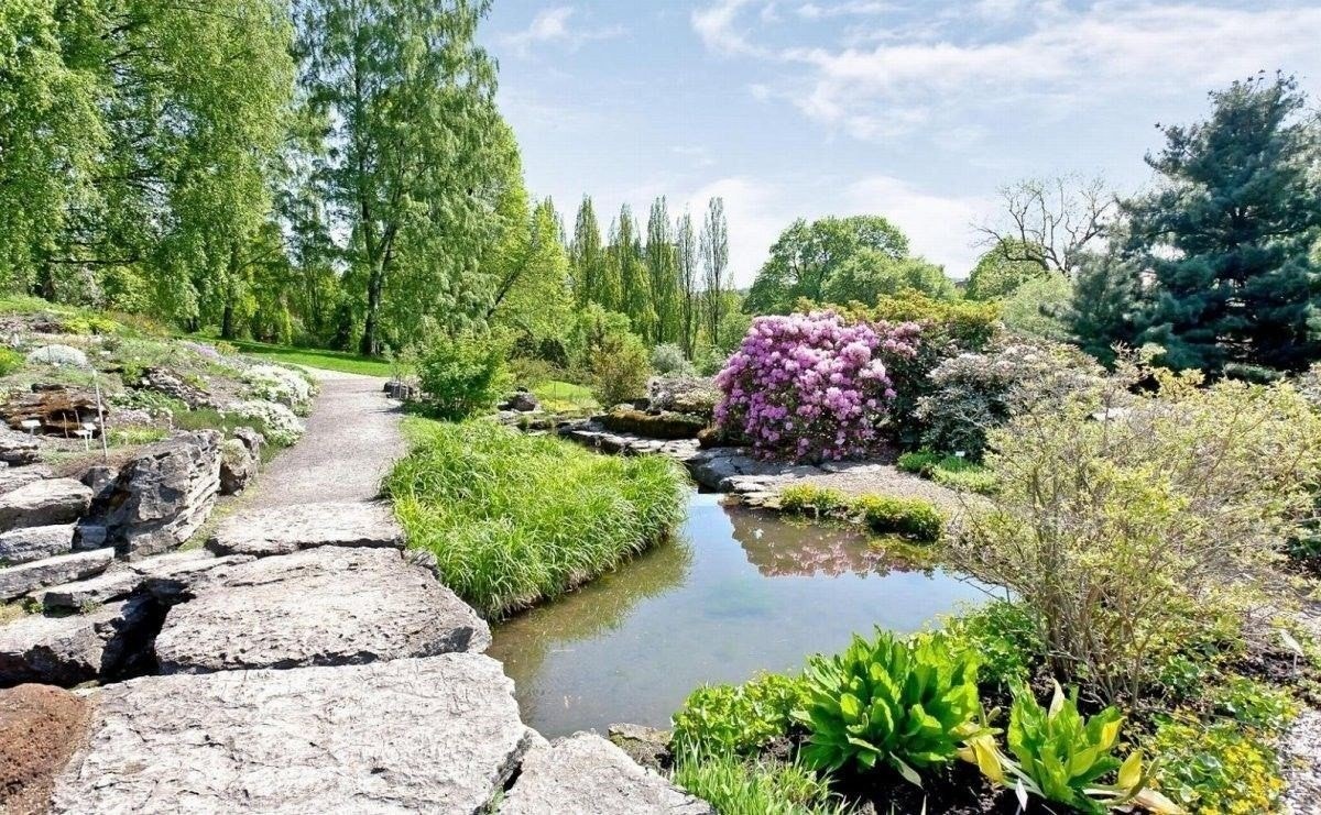 Botanisk hage kanskje Oslos flotteste park, finner du like i nærheten Galleribilde