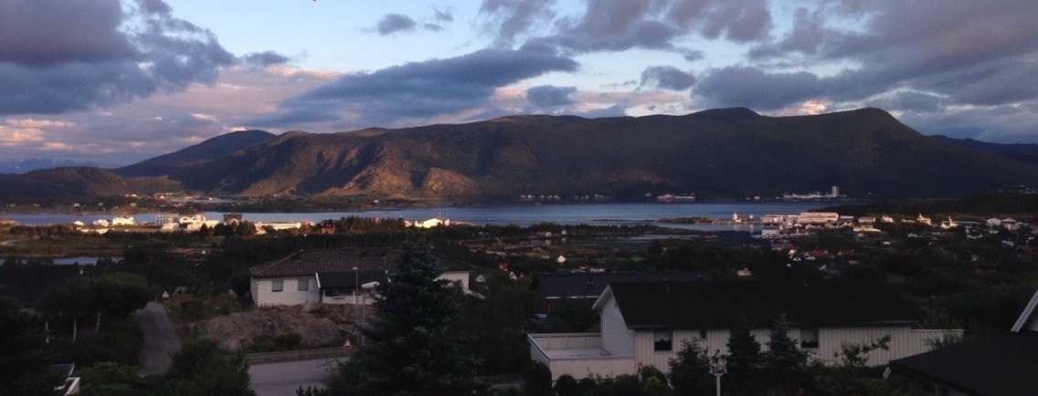 Utsikt fra hybel Galleribilde