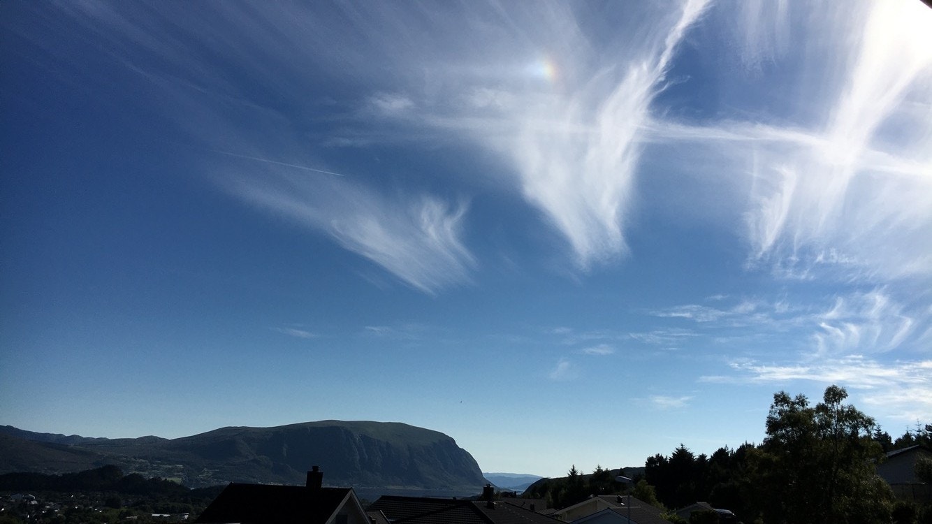 Utsikt fra hybel Galleribilde