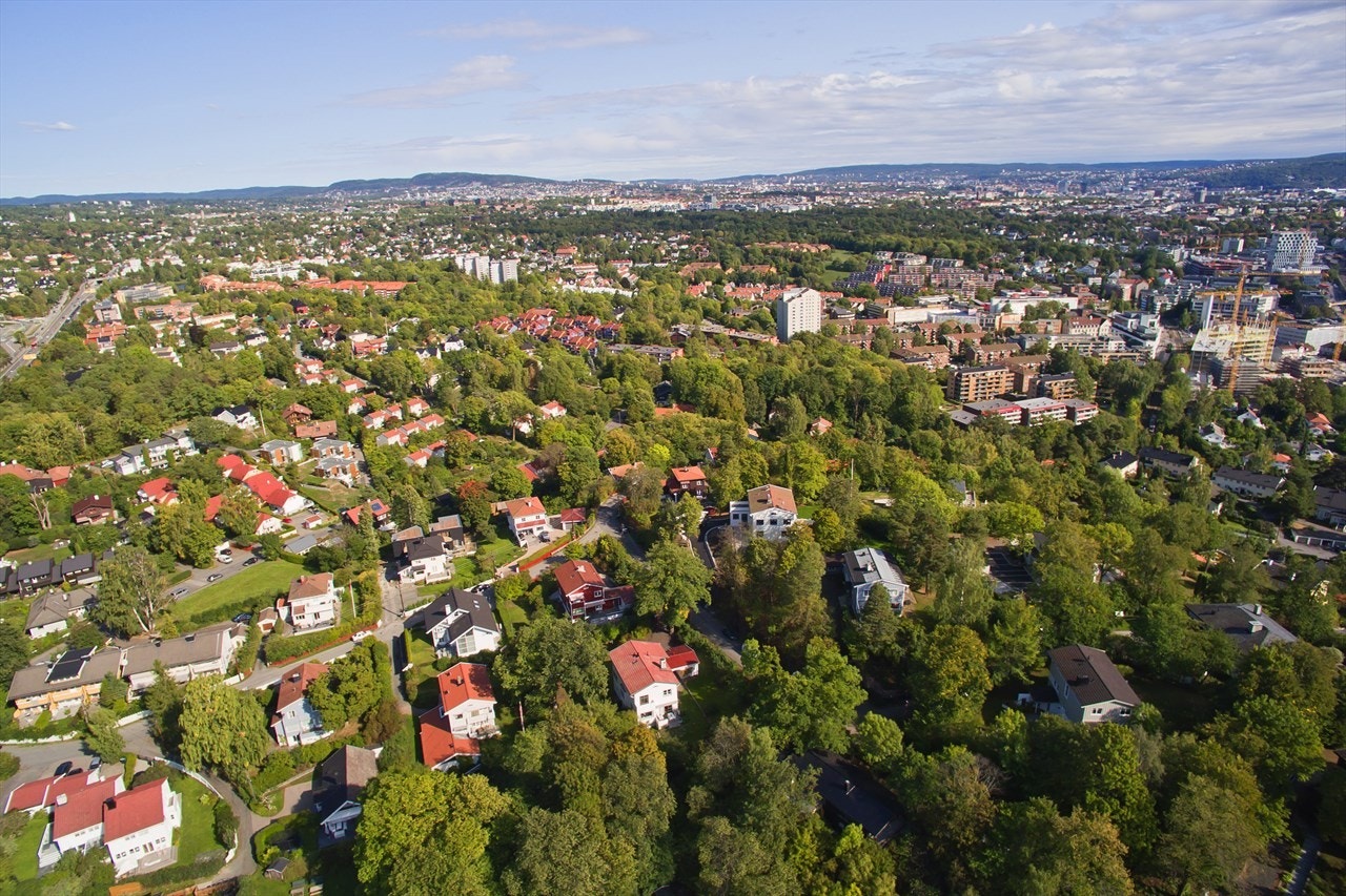 Abbedikollen Galleribilde