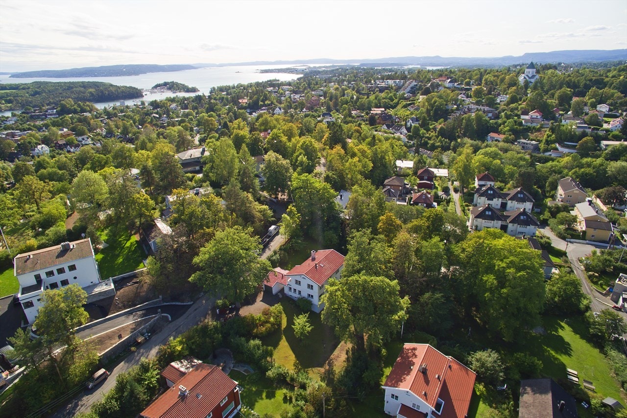 Abbedikollen Galleribilde
