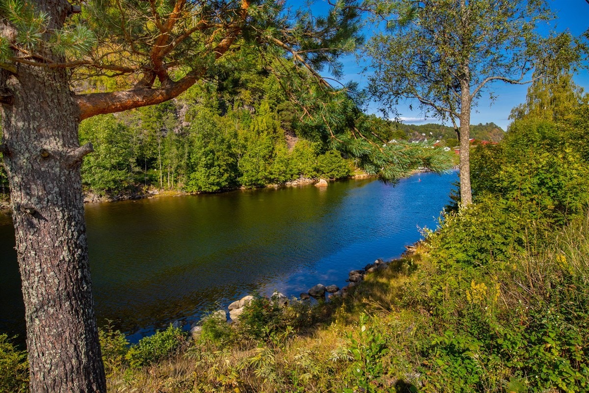 Elva som renner overfor eiendommen Galleribilde