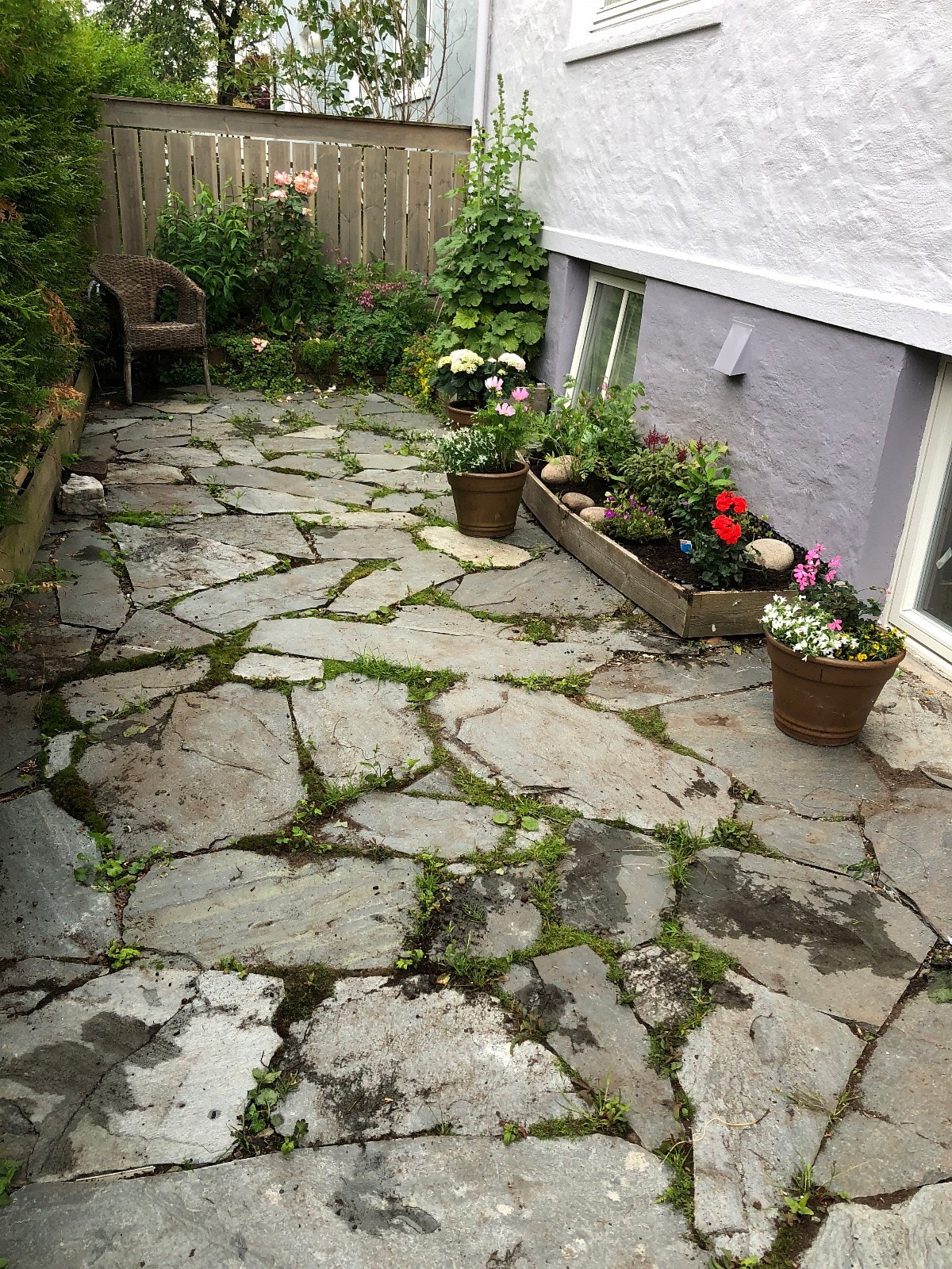 Felles hage Galleribilde