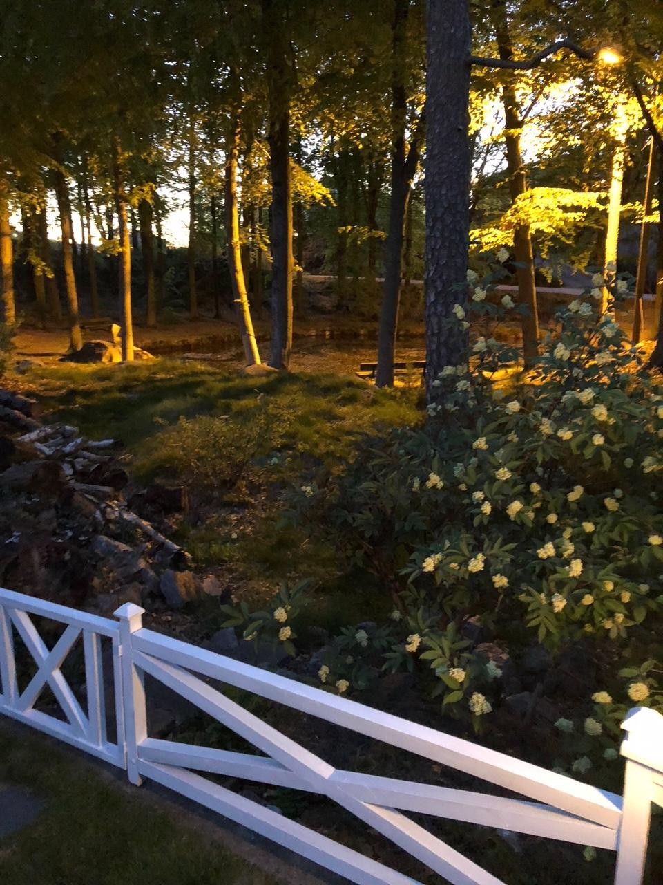 IMG_1617 Galleribilde