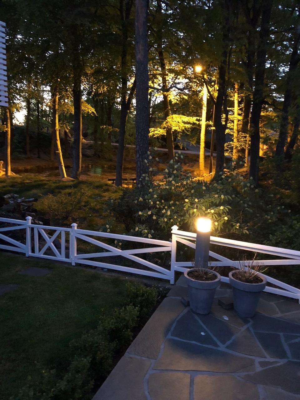 IMG_1616 Galleribilde