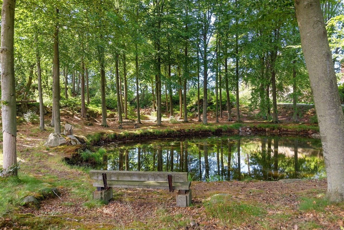 Område Galleribilde