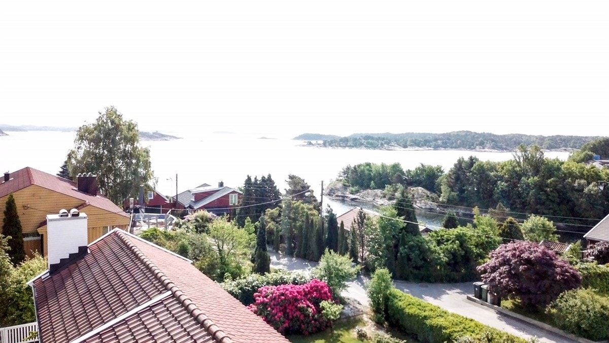 Flyfoto Galleribilde