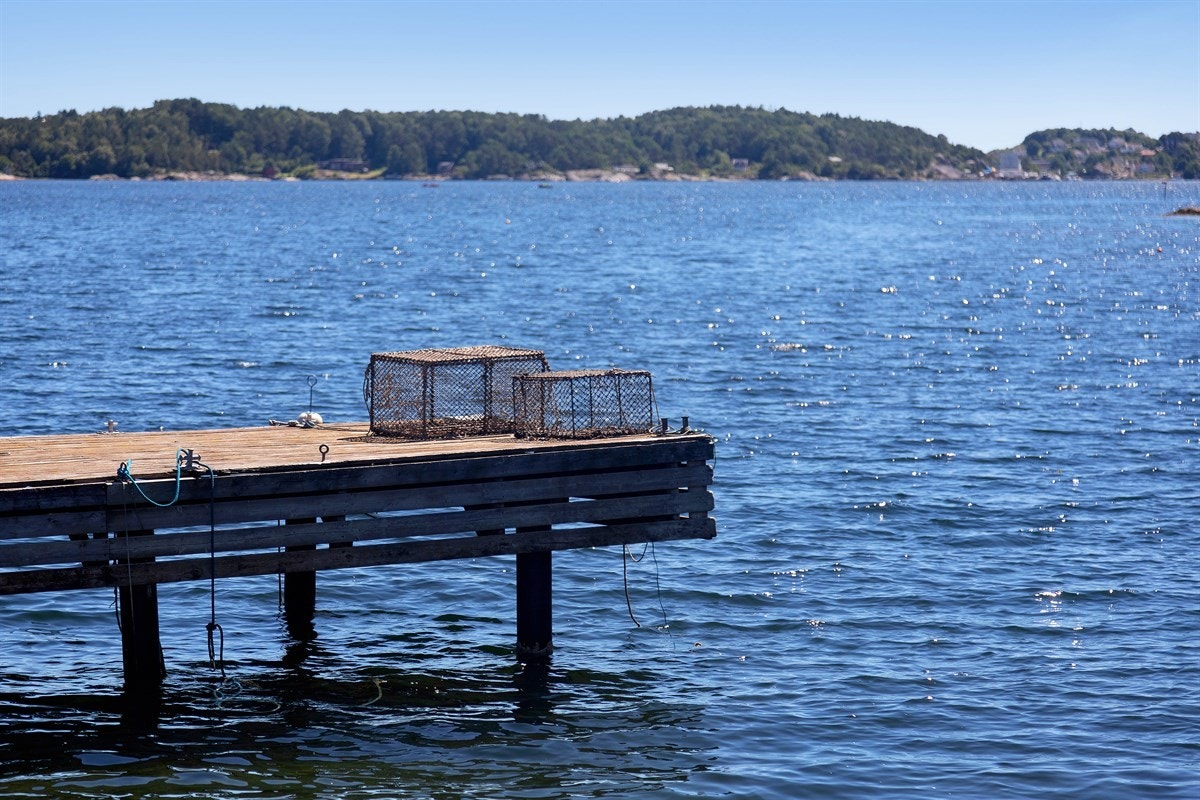 Uteområde Galleribilde