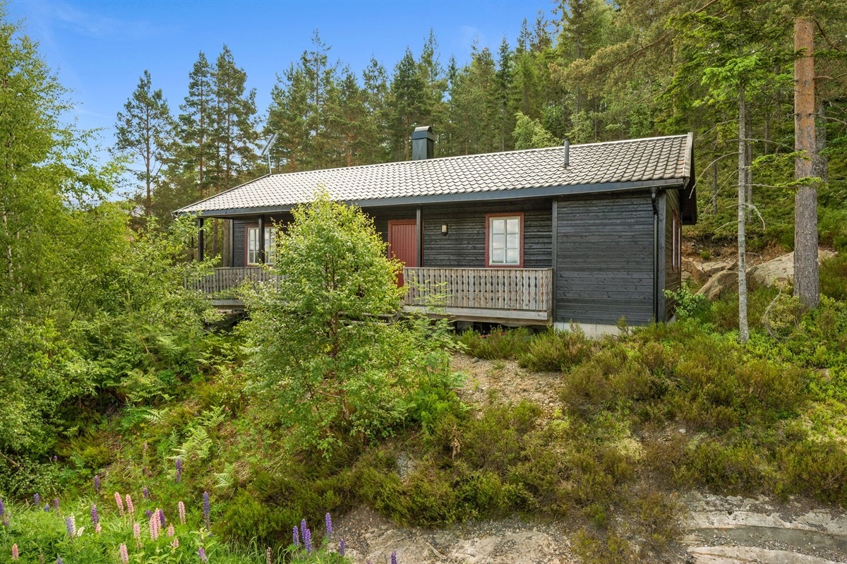 Velkommen til Tavlefjella 40 Galleribilde