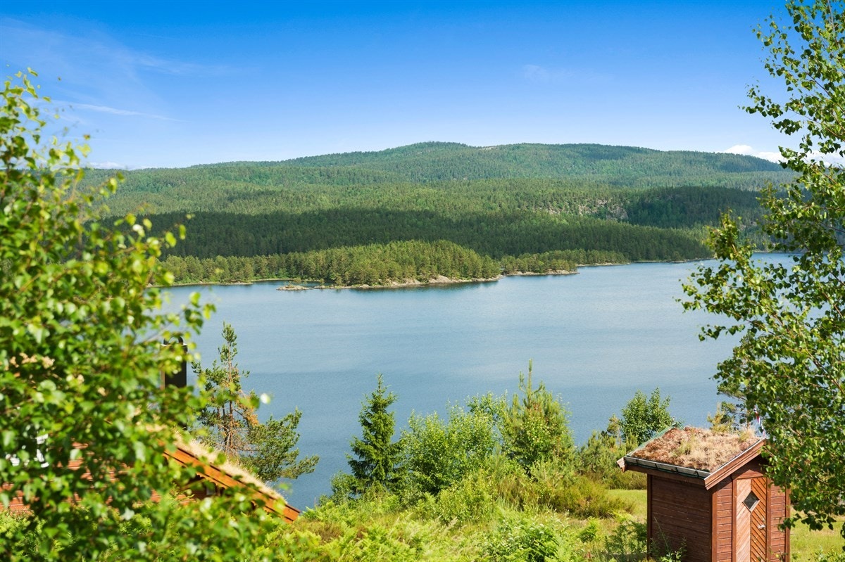 Her har du fantastisk utsikt over Vegårfjorden. Galleribilde